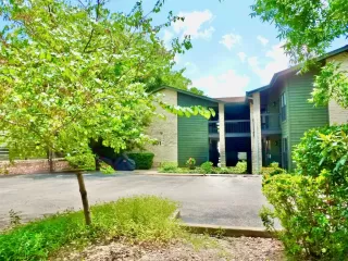 Primary Photo for MLS#: 7925949