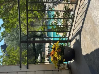 More Details about MLS # 8446544 : 6000 SHEPHERD MOUNTAIN CV 807